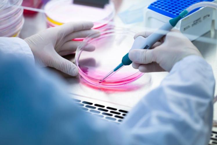 细胞培养技术取得新突破，引领生物医药新篇章